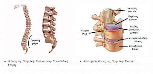 οσφυαλγία | Σακελλάρης Γιάννης