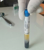 2015-09-21 19.12.05.jpg